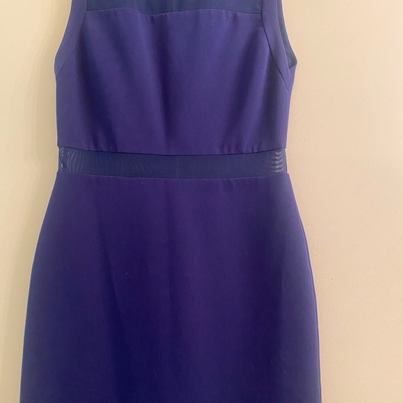 Alice + Olivia Karman Sheer Inset Dress - Picture 10 of 10